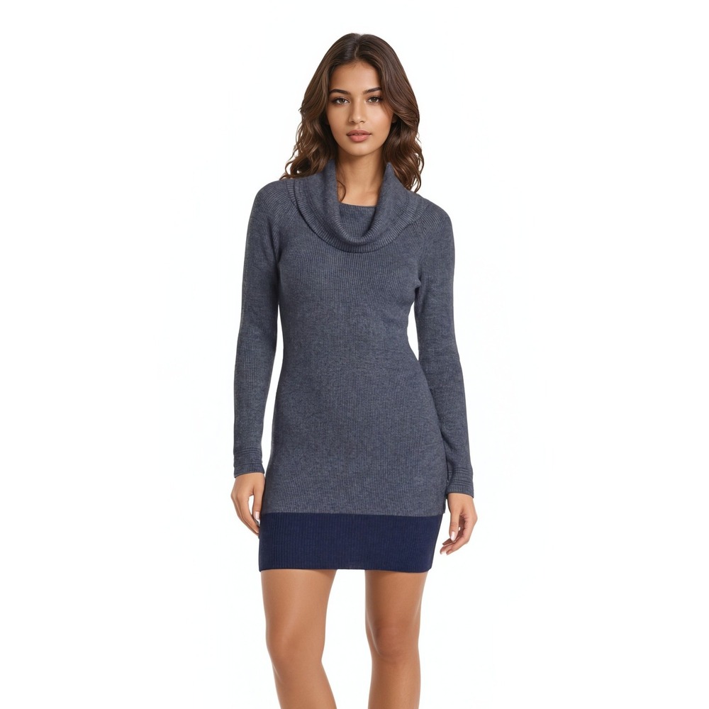 Toad&Co Women Size XS Blue Colorblock Merino Wool Cowl Neck Sweater Dress